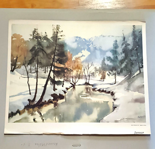 Wolf rohricht bach - im, winter