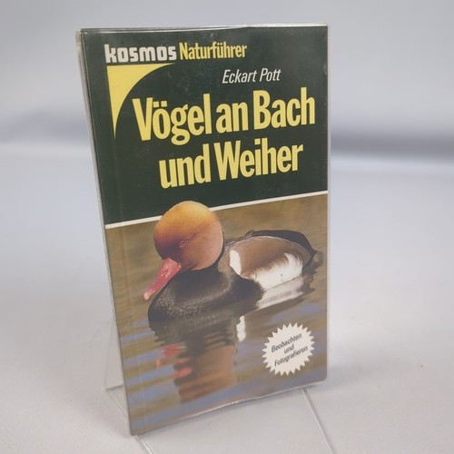 Vögel bach und - vögel, weiher