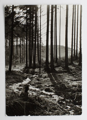 Echtfoto postkarte ein - -,